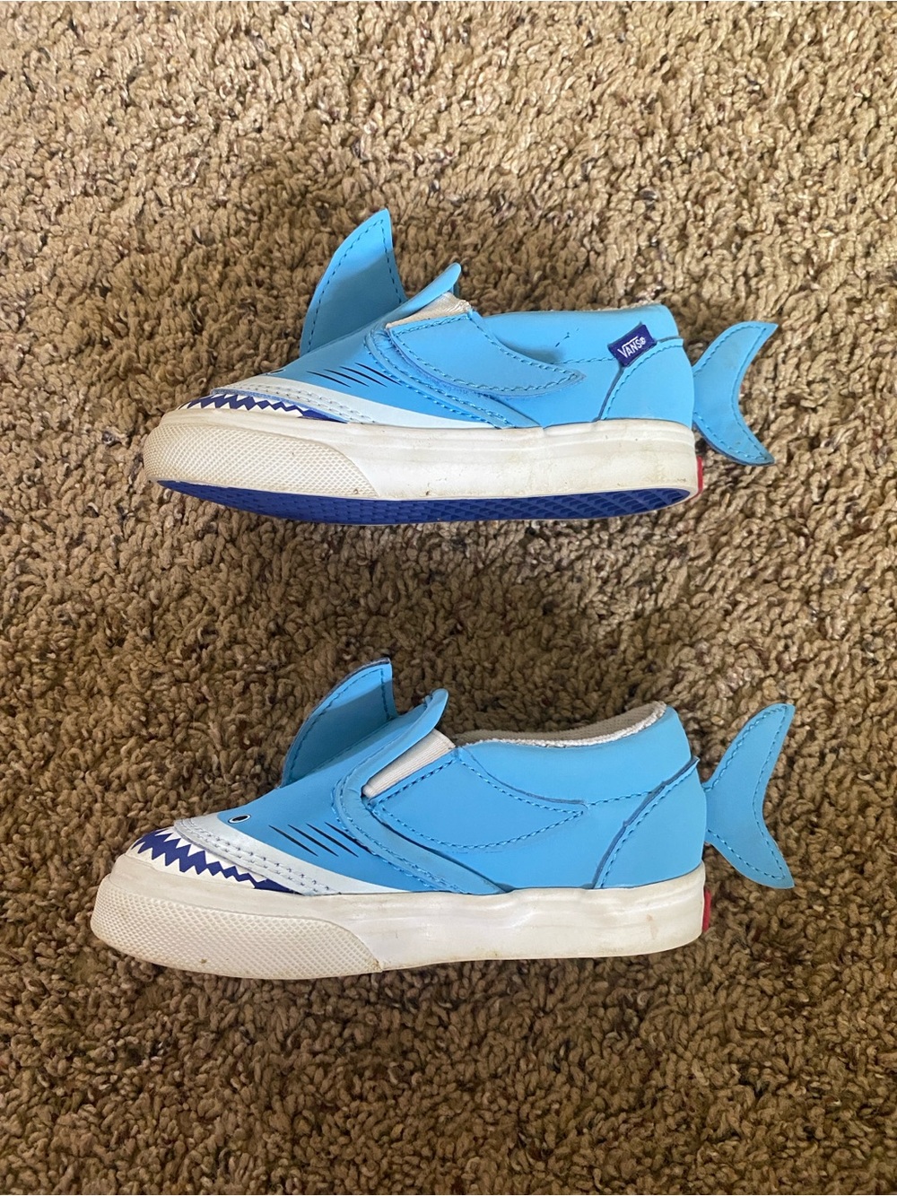 Shark Vans - Picture 3 of 5